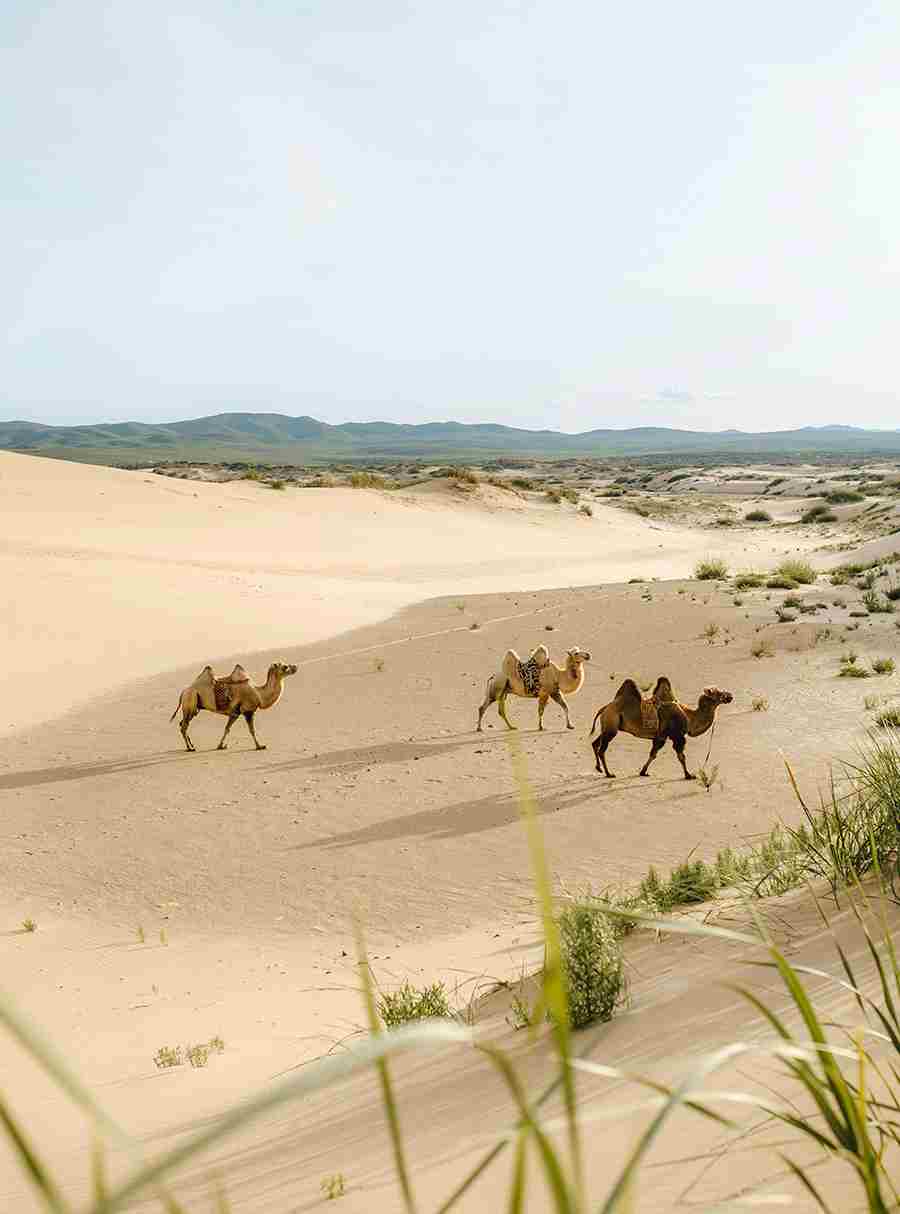 2+ Must-See Destinations in Mongolia | Book Your Dream Holiday Tour Packages Now Pikme.org