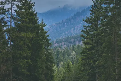 Munich, Germany’s cultural hub known for Oktoberfest and Bavarian charm.