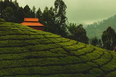 Ooty, a scenic hill station in Tamil Nadu known for gardens and cool climate.