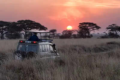 Tanzania, Africa’s safari land home to Kilimanjaro and vast savannahs.