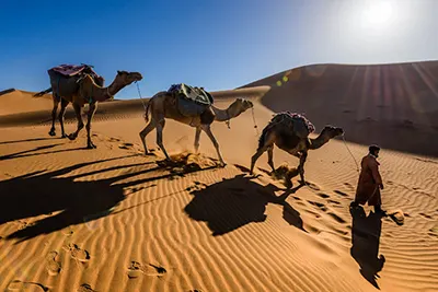 Sahara Desert, Morocco’s vast golden dunes offering mesmerizing desert adventures.